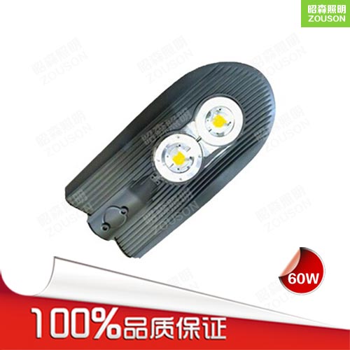 LED路头灯60W_双头路灯