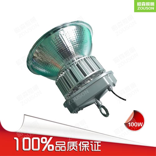 防腐蚀工矿灯_LED工矿灯100w