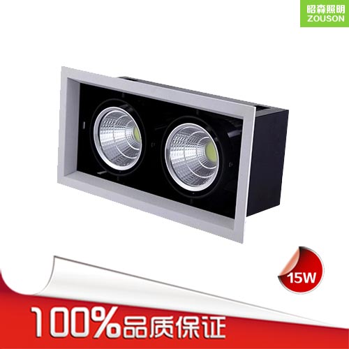 LED斗胆灯20W_斗胆灯厂家