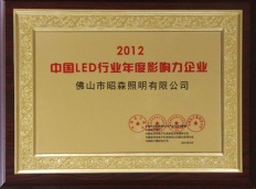 2012年中国LED行业年度影响力企业