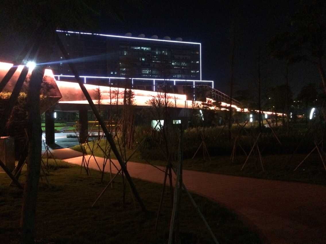 佛山新城公园LED灯饰项目