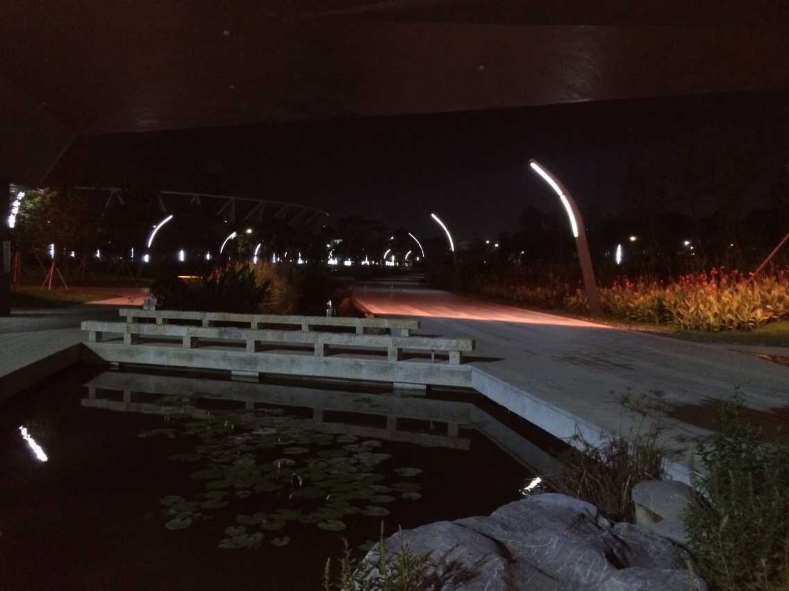 佛山新城公园LED灯饰项目